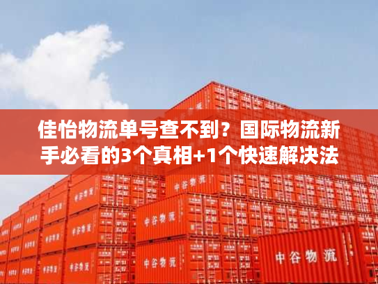 佳怡物流单号查不到？国际物流新手必看的3个真相+1个快速解决法