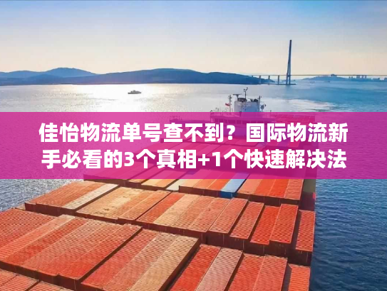 佳怡物流单号查不到？国际物流新手必看的3个真相+1个快速解决法