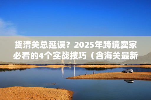 货清关总延误？2025年跨境卖家必看的4个实战技巧（含海关最新数据）