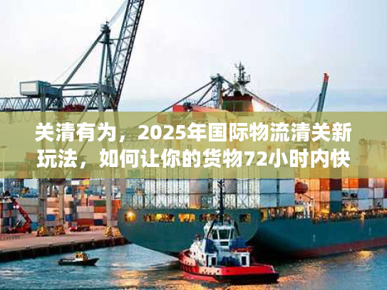 关清有为,2025年国际物流清关新玩法,如何让你的货物72小时内快速放行? 关清有为,2025年国际物流清关新玩法,如何让你的货物72小时内快速放行?