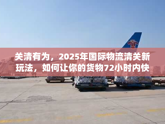 关清有为,2025年国际物流清关新玩法,如何让你的货物72小时内快速放行? 关清有为,2025年国际物流清关新玩法,如何让你的货物72小时内快速放行?