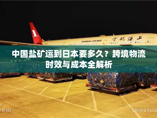 中国盐矿运到日本要多久？跨境物流时效与成本全解析