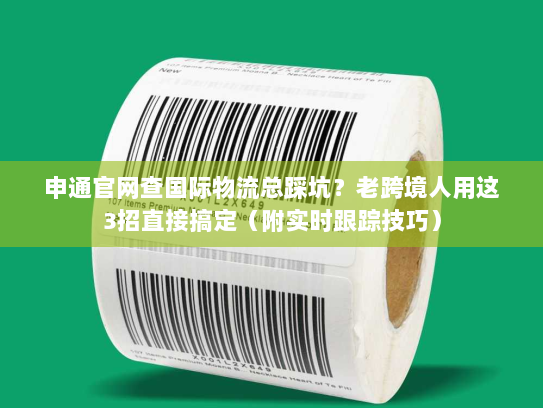 申通官网查国际物流总踩坑？老跨境人用这3招直接搞定（附实时跟踪技巧）