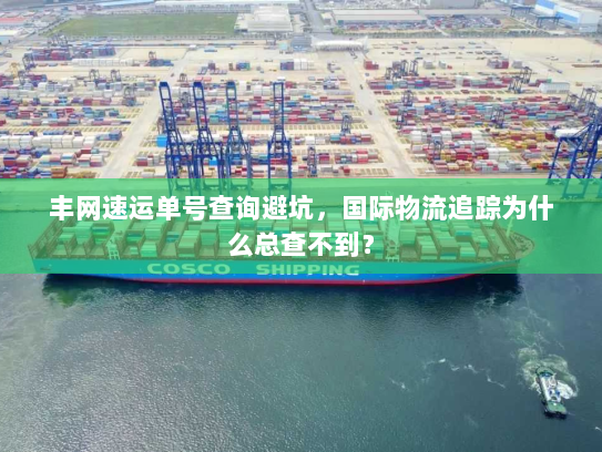 丰网速运单号查询避坑，国际物流追踪为什么总查不到？