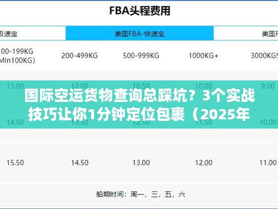 国际空运货物查询总踩坑？3个实战技巧让你1分钟定位包裹（2025年最新逻辑）
