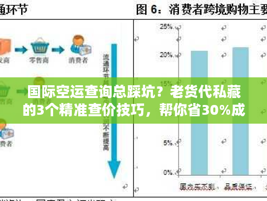 国际空运查询总踩坑？老货代私藏的3个精准查价技巧，帮你省30%成本