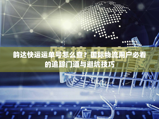 韵达快运运单号怎么查？国际物流用户必看的追踪门道与避坑技巧