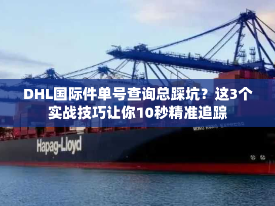 DHL国际件单号查询总踩坑？这3个实战技巧让你10秒精准追踪