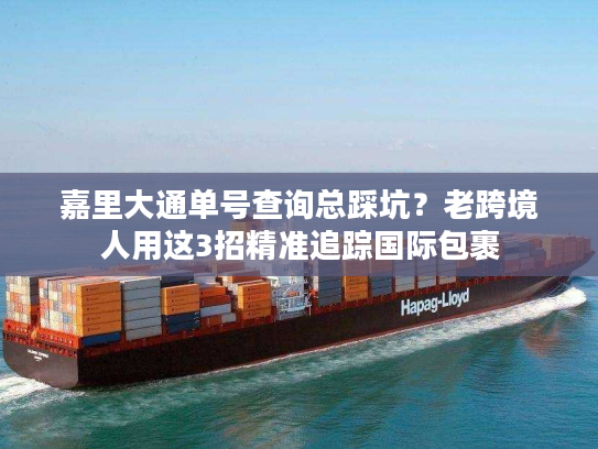 嘉里大通单号查询总踩坑？老跨境人用这3招精准追踪国际包裹
