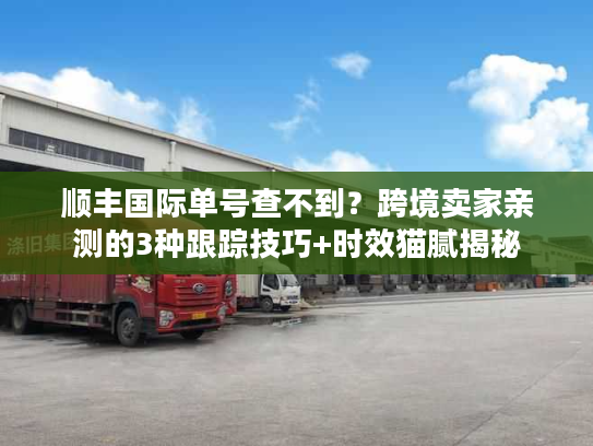 顺丰国际单号查不到？跨境卖家亲测的3种跟踪技巧+时效猫腻揭秘