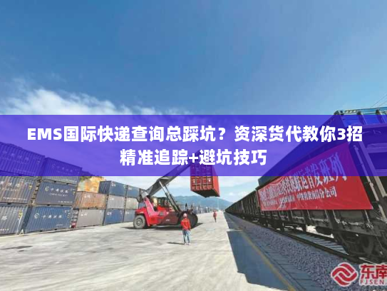 EMS国际快递查询总踩坑？资深货代教你3招精准追踪+避坑技巧