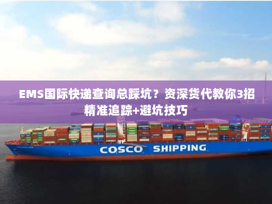 EMS国际快递查询总踩坑？资深货代教你3招精准追踪+避坑技巧