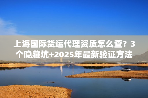 上海国际货运代理资质怎么查？3个隐藏坑+2025年最新验证方法（附真实案例）
