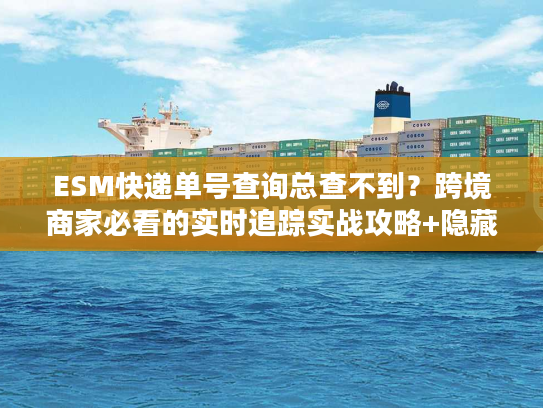 ESM快递单号查询总查不到？跨境商家必看的实时追踪实战攻略+隐藏技巧