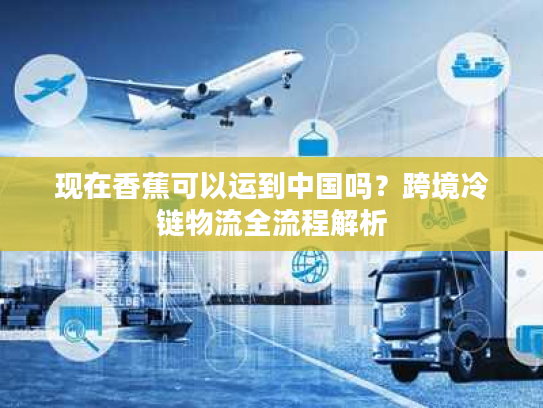 现在香蕉可以运到中国吗？跨境冷链物流全流程解析
