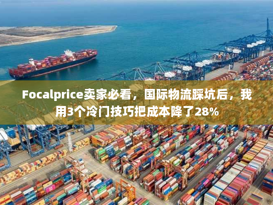 Focalprice卖家必看，国际物流踩坑后，我用3个冷门技巧把成本降了28%