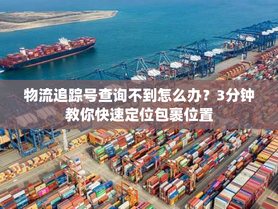 物流追踪号查询不到怎么办？3分钟教你快速定位包裹位置