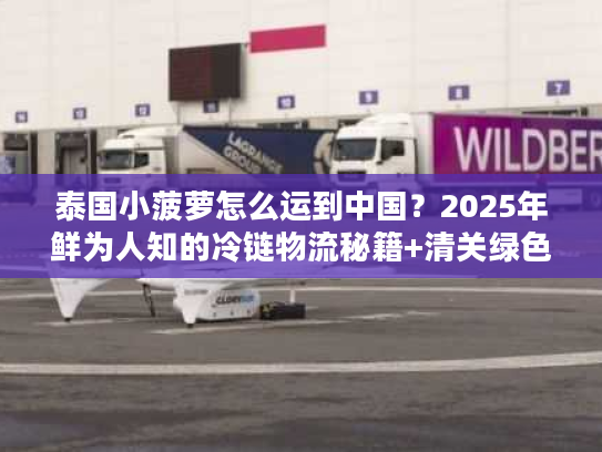 泰国小菠萝怎么运到中国？2025年鲜为人知的冷链物流秘籍+清关绿色通道