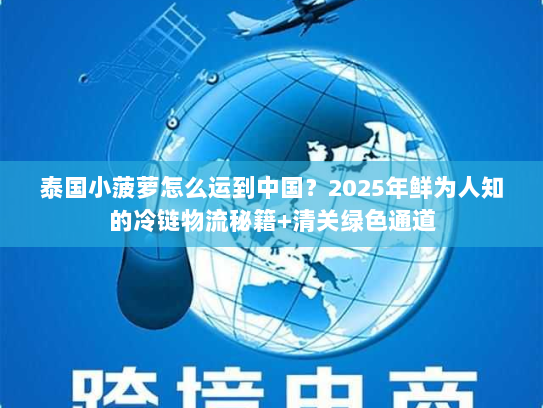 泰国小菠萝怎么运到中国？2025年鲜为人知的冷链物流秘籍+清关绿色通道