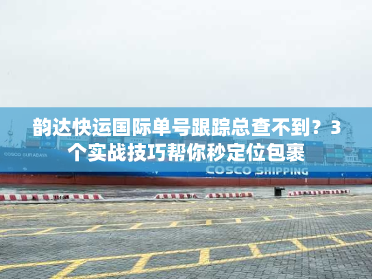 韵达快运国际单号跟踪总查不到？3个实战技巧帮你秒定位包裹