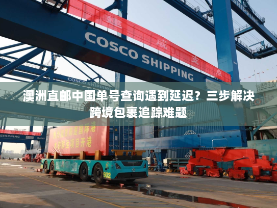 澳洲直邮中国单号查询遇到延迟？三步解决跨境包裹追踪难题