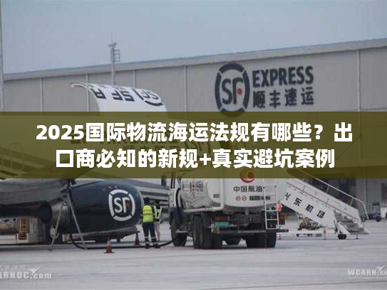 2025国际物流海运法规有哪些？出口商必知的新规+真实避坑案例
