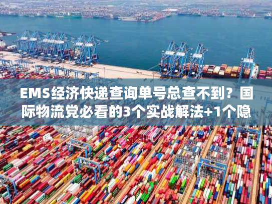 EMS经济快递查询单号总查不到？国际物流党必看的3个实战解法+1个隐藏工具