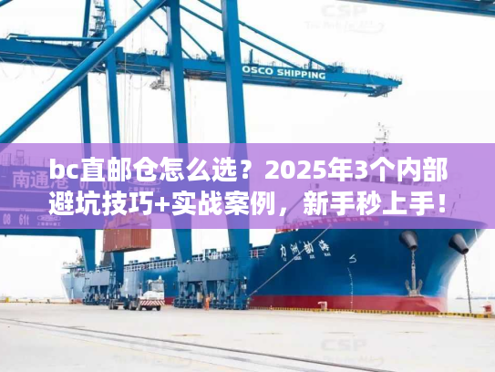 bc直邮仓怎么选？2025年3个内部避坑技巧+实战案例，新手秒上手！