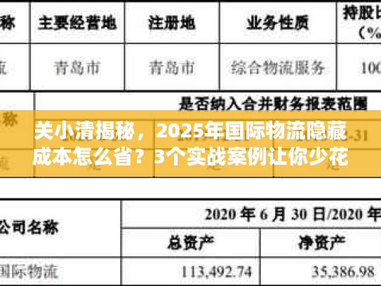 关小清揭秘，2025年国际物流隐藏成本怎么省？3个实战案例让你少花10万！