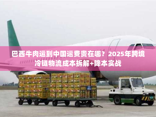 巴西牛肉运到中国运费贵在哪？2025年跨境冷链物流成本拆解+降本实战