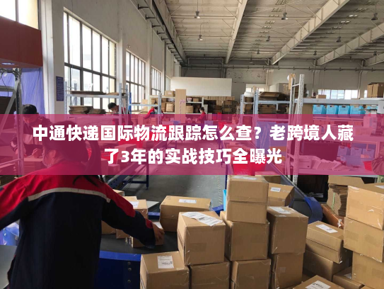 中通快递国际物流跟踪怎么查？老跨境人藏了3年的实战技巧全曝光