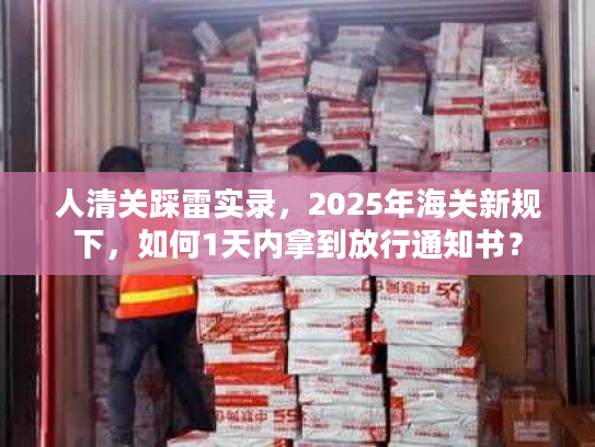 人清关踩雷实录，2025年海关新规下，如何1天内拿到放行通知书？