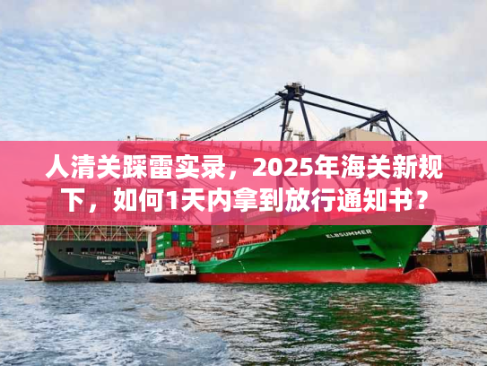 人清关踩雷实录，2025年海关新规下，如何1天内拿到放行通知书？