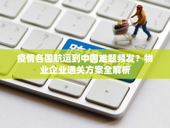 疫情各国航运到中国难题频发？物业企业通关方案全解析