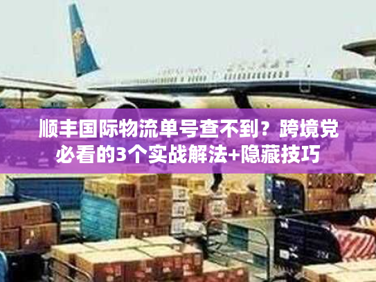 顺丰国际物流单号查不到？跨境党必看的3个实战解法+隐藏技巧