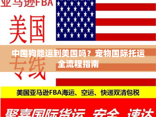 中国狗能运到美国吗？宠物国际托运全流程指南