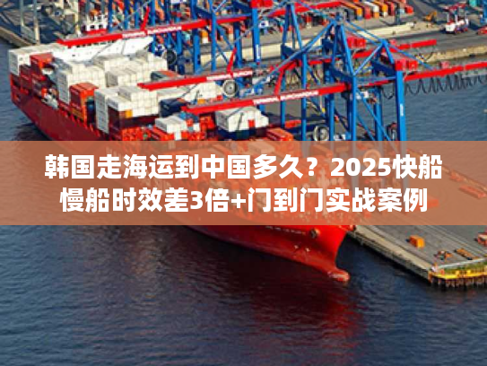韩国走海运到中国多久？2025快船慢船时效差3倍+门到门实战案例