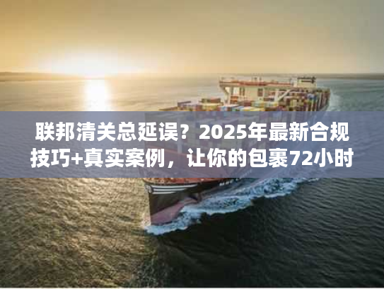 联邦清关总延误？2025年最新合规技巧+真实案例，让你的包裹72小时内放行！