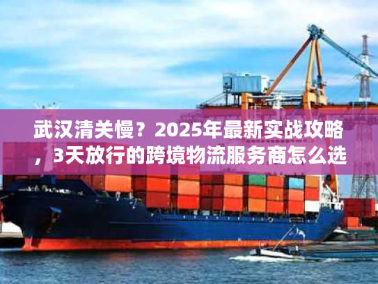 武汉清关慢？2025年最新实战攻略，3天放行的跨境物流服务商怎么选？