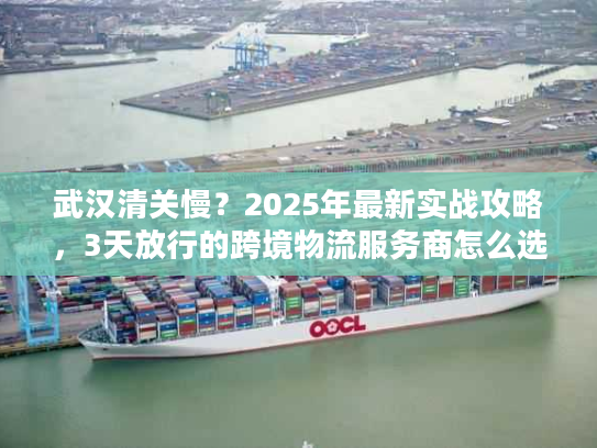 武汉清关慢？2025年最新实战攻略，3天放行的跨境物流服务商怎么选？
