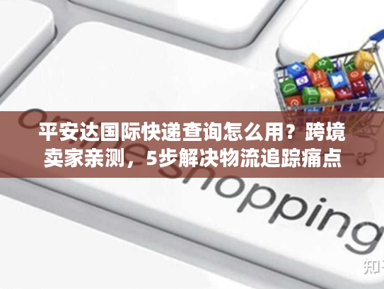 平安达国际快递查询怎么用？跨境卖家亲测，5步解决物流追踪痛点