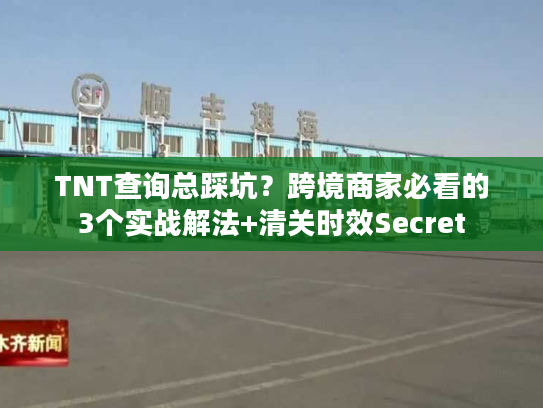 TNT查询总踩坑？跨境商家必看的3个实战解法+清关时效Secret