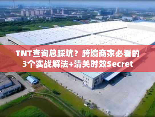 TNT查询总踩坑？跨境商家必看的3个实战解法+清关时效Secret