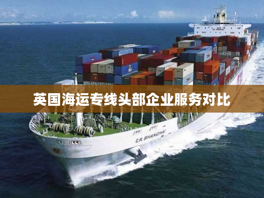 英国海运专线头部企业服务对比
