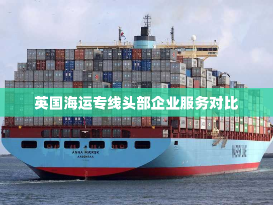 英国海运专线头部企业服务对比
