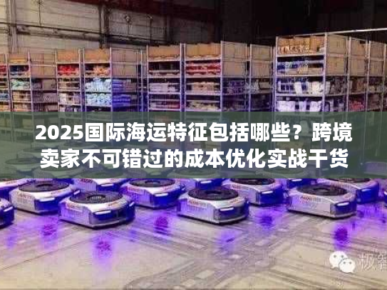 2025国际海运特征包括哪些？跨境卖家不可错过的成本优化实战干货