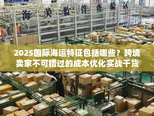 2025国际海运特征包括哪些？跨境卖家不可错过的成本优化实战干货