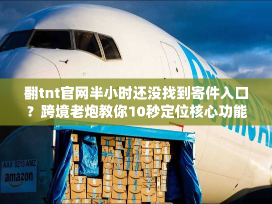 翻tnt官网半小时还没找到寄件入口？跨境老炮教你10秒定位核心功能
