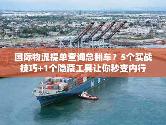 国际物流提单查询总翻车？5个实战技巧+1个隐藏工具让你秒变内行