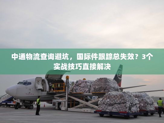 中通物流查询避坑，国际件跟踪总失效？3个实战技巧直接解决